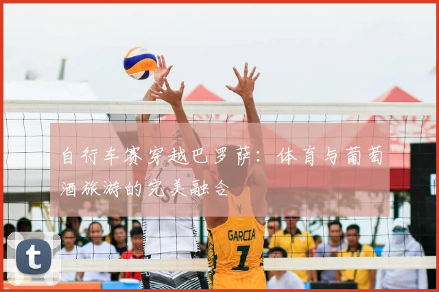 自行车赛穿越巴罗萨：体育与葡萄酒旅游的完美融合